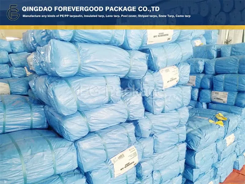 Light Duty Blue PE Tarpaulin Sheet