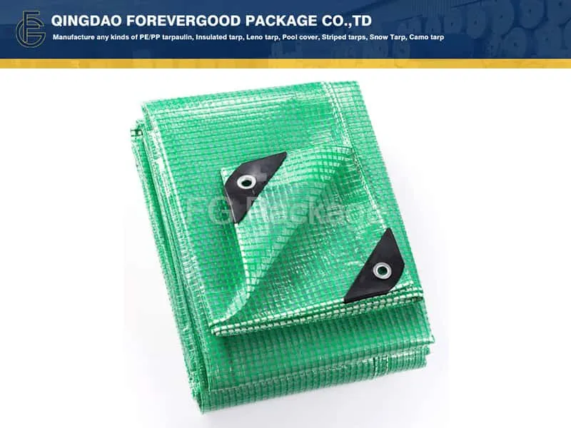 leno-tarp-4
