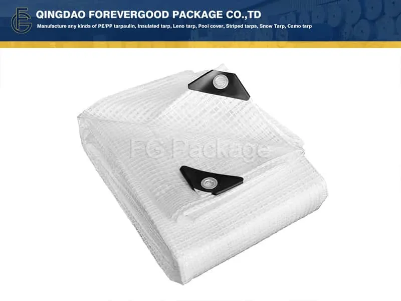 leno-tarp-1