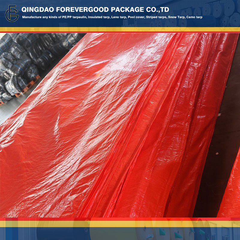 1728523519239347.jpg 1728523519239347.jpg