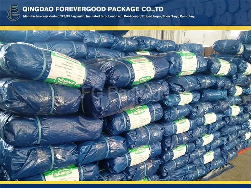 Blue PE Coated  HDPE Tarpaulin Sheet